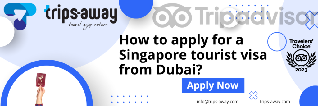 How to apply for a Singapore tourist visa image