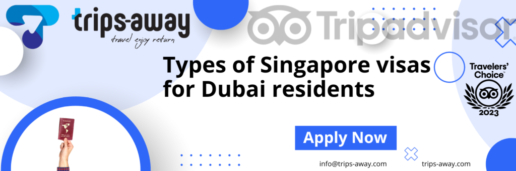 Types of Singapore visas for Dubai residents image