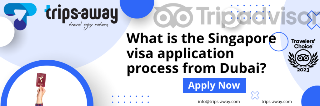 singapore visa application process dubai image